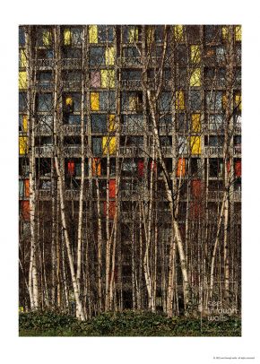 Park Hill Flat Poster
