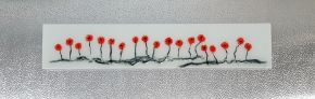 Poppies  Brenda Ellen